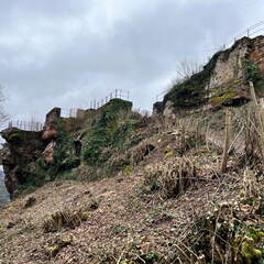 24-03-01 12-29-31 8869